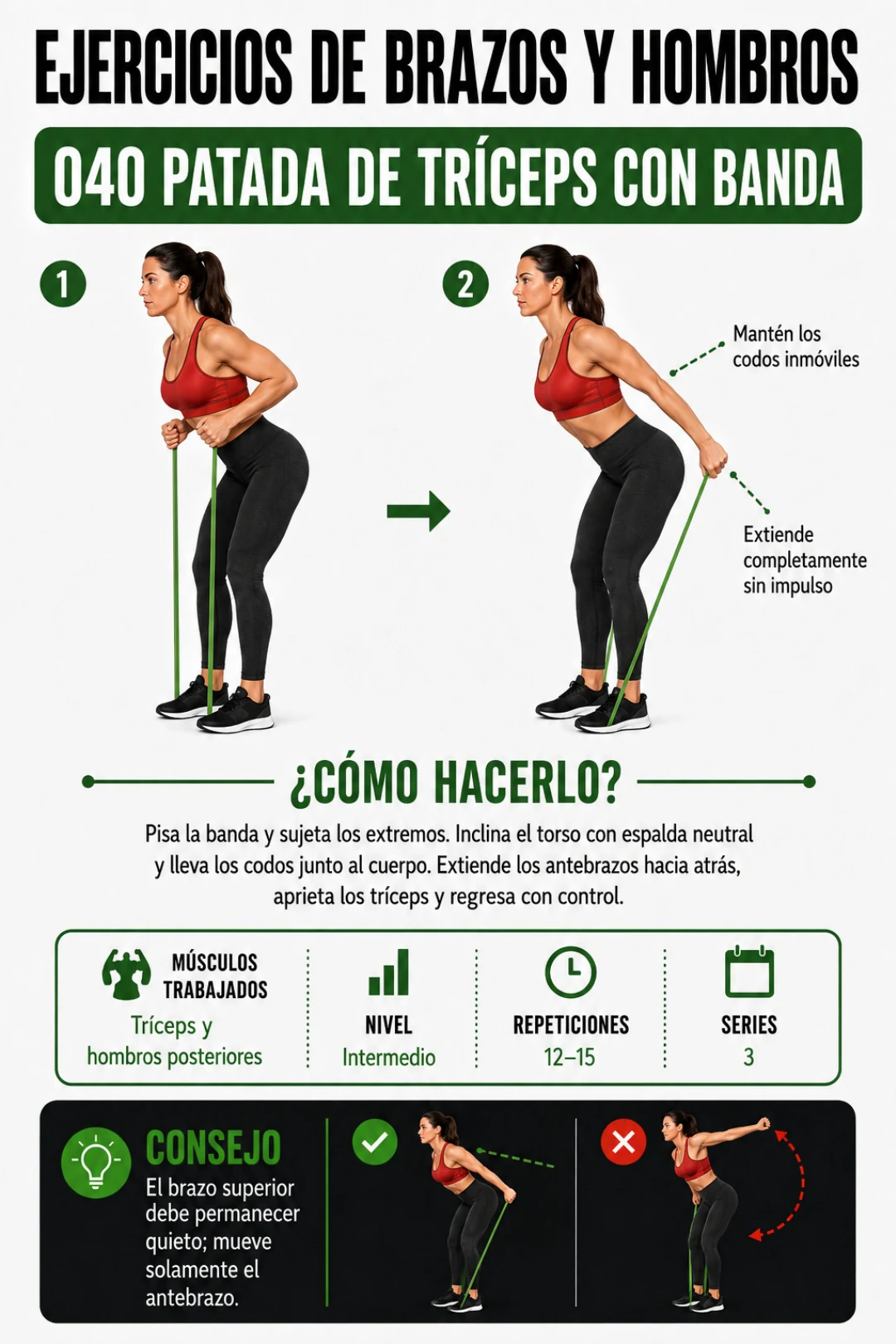Ejercicio 040: patada de tríceps con banda